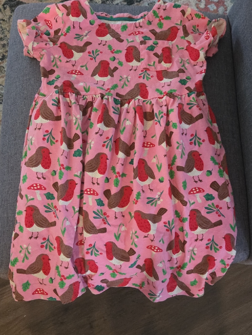 Mini Boden Pink Dress with Robin Print 7-8 Yr